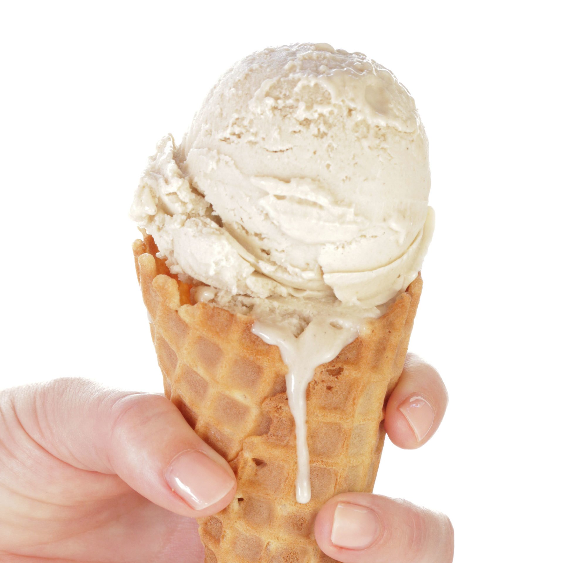 Vegan Vanilla Ice Cream (Cashew Base) Easy Vegan Meal Plan